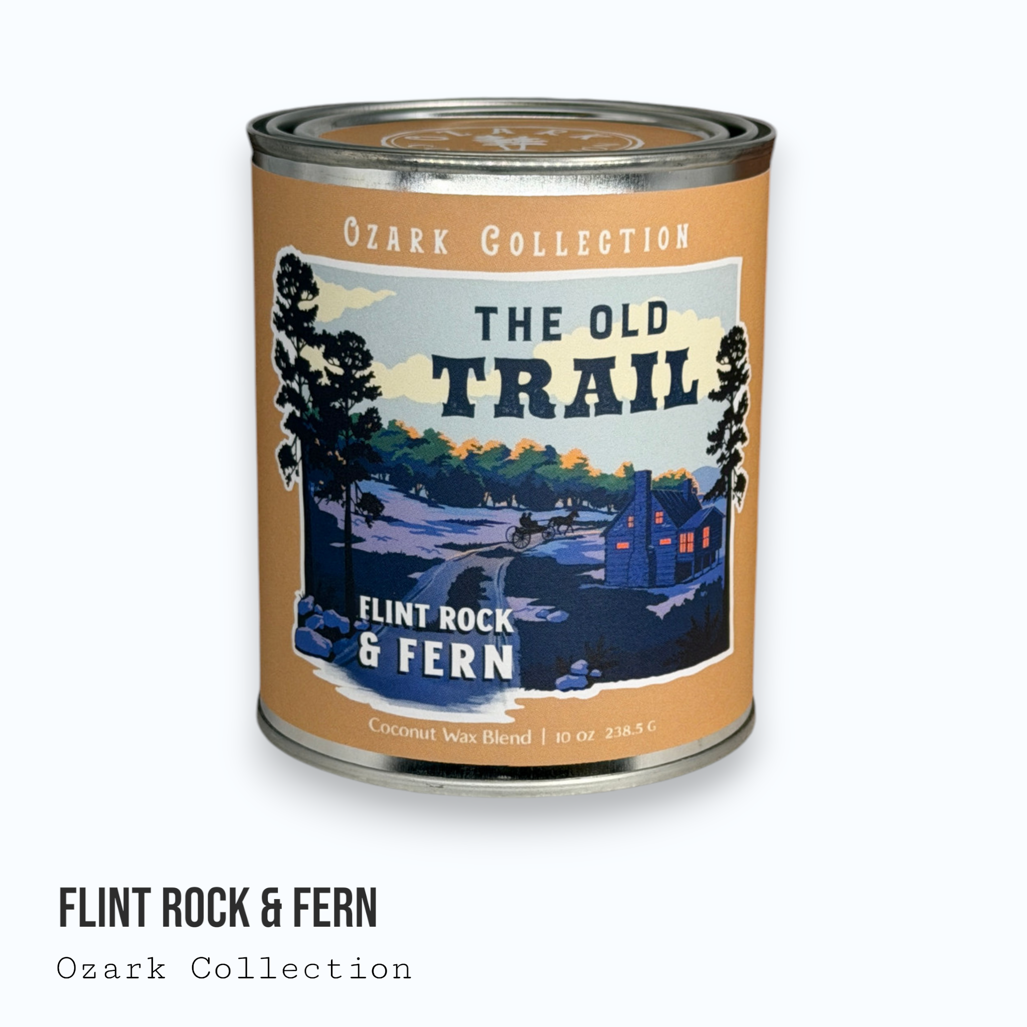 Flint Rock & Fern — Ozark Collection Paint Can Candle